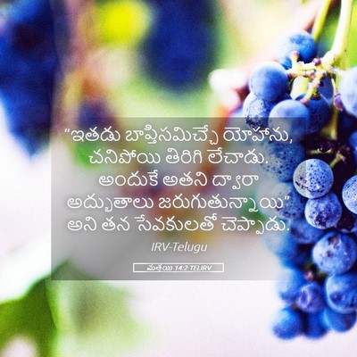 Picture 05 - మత్తయి 14:2 TELIRV - “ఇతడు - Bible Verse Picture