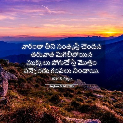 Picture 05 - మత్తయి 14:20 TELIRV - వారంతా తిని - Bible Verse Picture