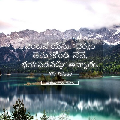 Picture 05 - మత్తయి 14:27 TELIRV - వెంటనే యేసు, - Bible Verse Picture