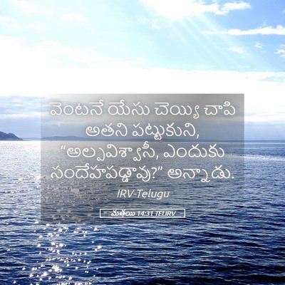 Picture 05 - మత్తయి 14:31 TELIRV - వెంటనే యేసు - Bible Verse Picture