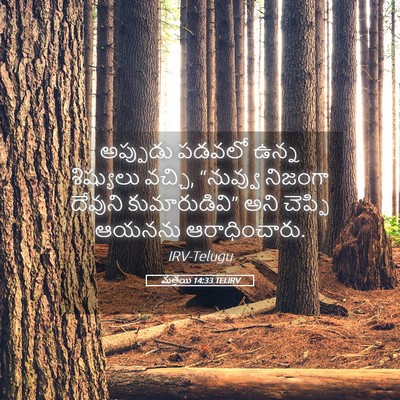 Picture 05 - మత్తయి 14:33 TELIRV - అప్పుడు పడవలో - Bible Verse Picture