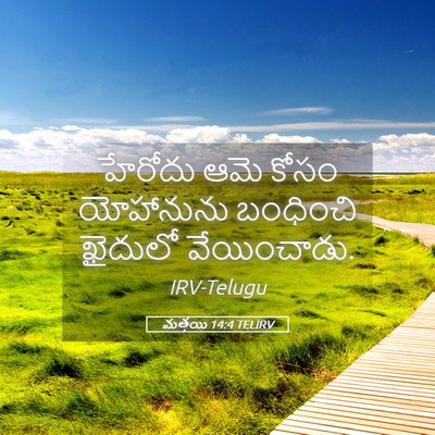 Picture 05 - మత్తయి 14:4 TELIRV - హేరోదు ఆమె కోసం - Bible Verse Picture