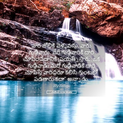 Picture 05 - మత్తయి 15:14 TELIRV - వారి జోలికి - Bible Verse Picture