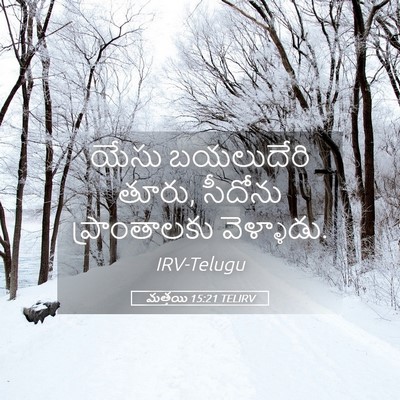 Picture 05 - మత్తయి 15:21 TELIRV - యేసు బయలుదేరి - Bible Verse Picture