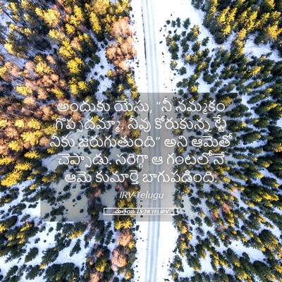Picture 05 - మత్తయి 15:28 TELIRV - అందుకు యేసు, “నీ - Bible Verse Picture