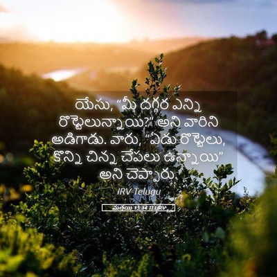 Picture 05 - మత్తయి 15:34 TELIRV - యేసు, “మీ దగ్గర - Bible Verse Picture