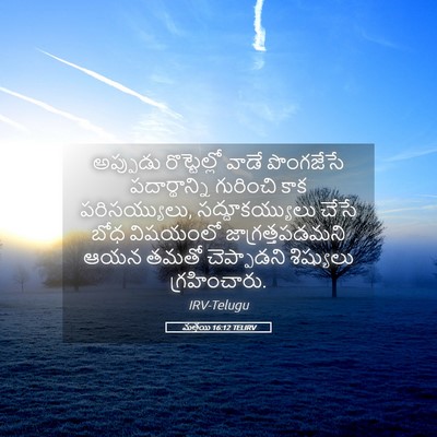 Picture 05 - మత్తయి 16:12 TELIRV - అప్పుడు - Bible Verse Picture