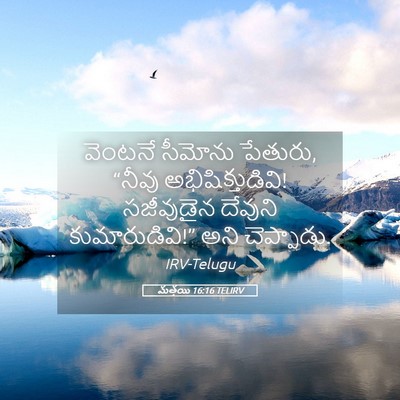 Picture 05 - మత్తయి 16:16 TELIRV - వెంటనే సీమోను - Bible Verse Picture