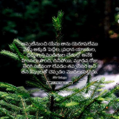 Picture 05 - మత్తయి 16:21 TELIRV - అప్పటినుంచి యేసు - Bible Verse Picture