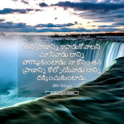 Picture 05 - మత్తయి 16:25 TELIRV - తన ప్రాణాన్ని - Bible Verse Picture