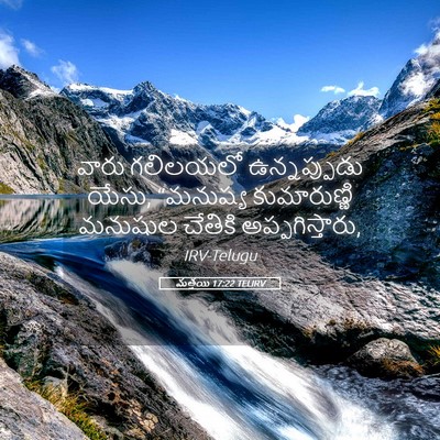 Picture 05 - మత్తయి 17:22 TELIRV - వారు గలిలయలో - Bible Verse Picture