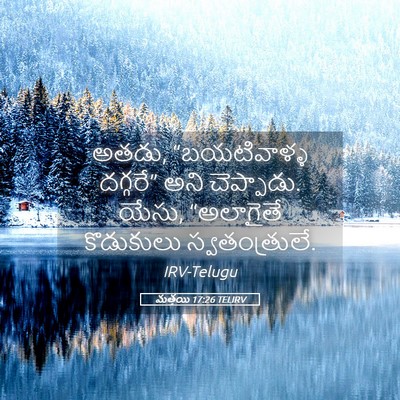 Picture 05 - మత్తయి 17:26 TELIRV - అతడు, “బయటివాళ్ళ - Bible Verse Picture