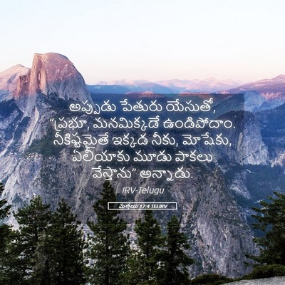 Picture 05 - మత్తయి 17:4 TELIRV - అప్పుడు పేతురు - Bible Verse Picture
