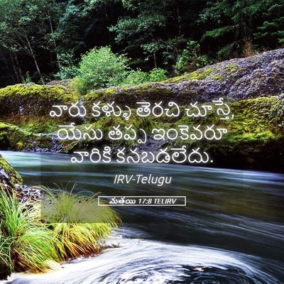 Picture 05 - మత్తయి 17:8 TELIRV - వారు కళ్ళు తెరచి - Bible Verse Picture