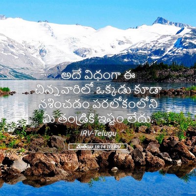 Picture 05 - మత్తయి 18:14 TELIRV - అదే విధంగా ఈ - Bible Verse Picture