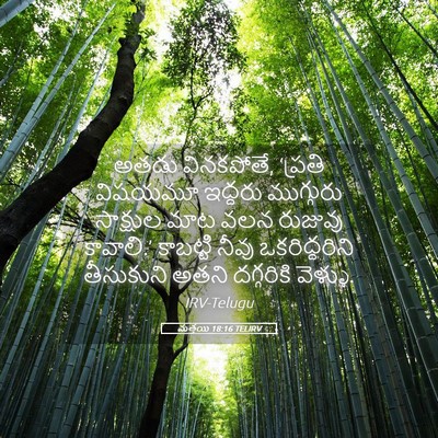 Picture 05 - మత్తయి 18:16 TELIRV - అతడు వినకపోతే, - Bible Verse Picture