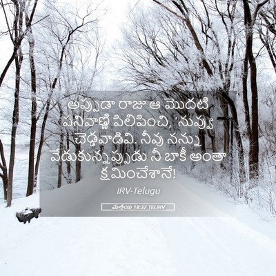 Picture 05 - మత్తయి 18:32 TELIRV - అప్పుడా రాజు ఆ - Bible Verse Picture