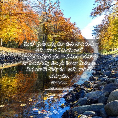 Picture 05 - మత్తయి 18:35 TELIRV - మీలో ప్రతి ఒక్కడూ - Bible Verse Picture