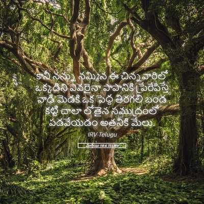 Picture 05 - మత్తయి 18:6 TELIRV - కానీ నన్ను నమ్మిన - Bible Verse Picture