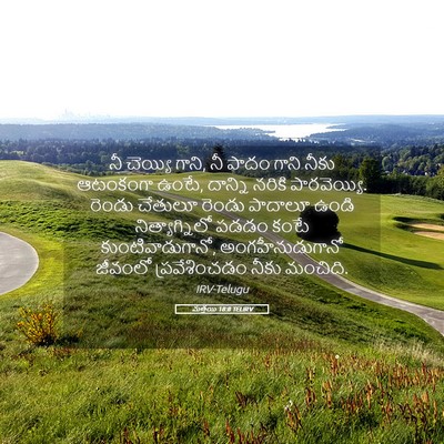 Picture 05 - మత్తయి 18:8 TELIRV - నీ చెయ్యి గాని, నీ - Bible Verse Picture