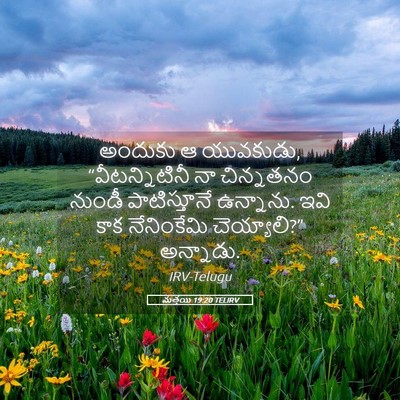 Picture 05 - మత్తయి 19:20 TELIRV - అందుకు ఆ యువకుడు, - Bible Verse Picture
