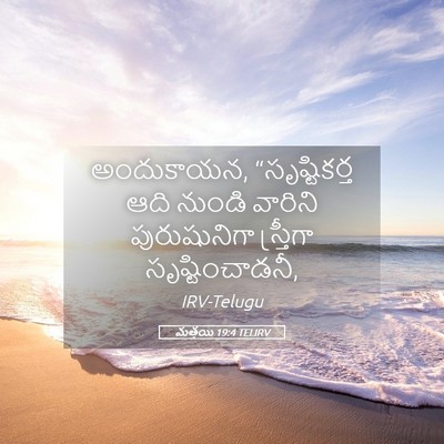 Picture 05 - మత్తయి 19:4 TELIRV - అందుకాయన, - Bible Verse Picture