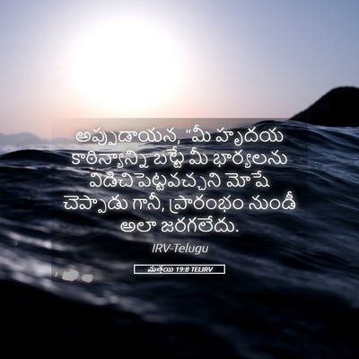 Picture 05 - మత్తయి 19:8 TELIRV - అప్పుడాయన, “మీ - Bible Verse Picture