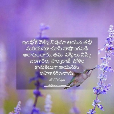 Picture 05 - మత్తయి 2:11 TELIRV - ఇంట్లోకి వెళ్ళి - Bible Verse Picture