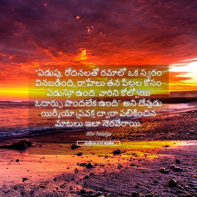 Picture 05 - మత్తయి 2:17 TELIRV - “ఏడుపు, రోదనలతో - Bible Verse Picture