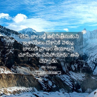 Picture 05 - మత్తయి 2:20 TELIRV - “లేచి, బాలుణ్ణీ - Bible Verse Picture