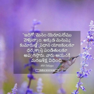 Picture 05 - మత్తయి 20:18 TELIRV - “ఇదిగో, మనం - Bible Verse Picture