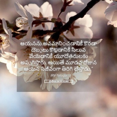 Picture 05 - మత్తయి 20:19 TELIRV - ఆయనను - Bible Verse Picture