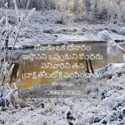 Picture 05 - మత్తయి 20:2 TELIRV - రోజుకు ఒక దేనారం - Bible Verse Picture