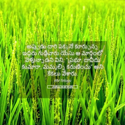 Picture 05 - మత్తయి 20:30 TELIRV - అప్పుడు దారి - Bible Verse Picture