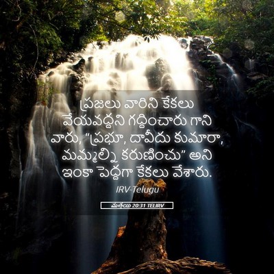 Picture 05 - మత్తయి 20:31 TELIRV - ప్రజలు వారిని - Bible Verse Picture