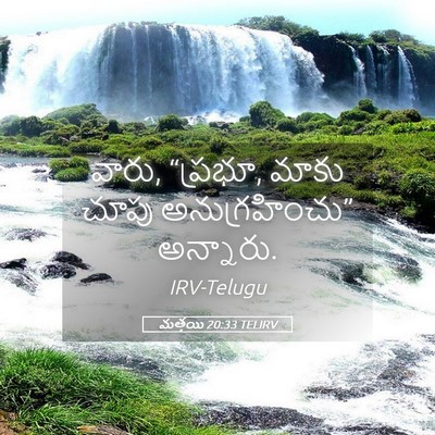 Picture 05 - మత్తయి 20:33 TELIRV - వారు, “ప్రభూ, మాకు - Bible Verse Picture