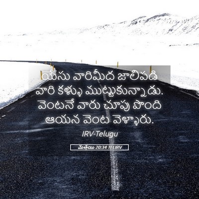 Picture 05 - మత్తయి 20:34 TELIRV - యేసు వారిమీద - Bible Verse Picture