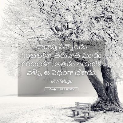 Picture 05 - మత్తయి 20:5 TELIRV - దాదాపు పన్నెండు - Bible Verse Picture