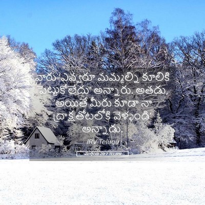 Picture 05 - మత్తయి 20:7 TELIRV - వారు ‘ఎవ్వరూ - Bible Verse Picture