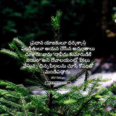 Picture 05 - మత్తయి 21:15 TELIRV - ప్రధాన యాజకులూ - Bible Verse Picture
