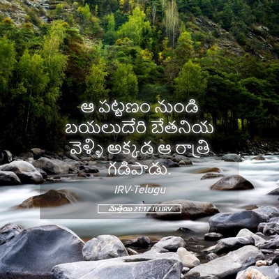 Picture 05 - మత్తయి 21:17 TELIRV - ఆ పట్టణం నుండి - Bible Verse Picture