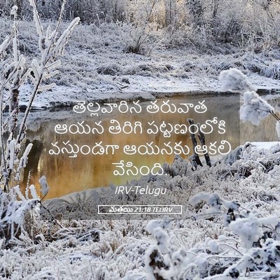 Picture 05 - మత్తయి 21:18 TELIRV - తెల్లవారిన తరువాత - Bible Verse Picture