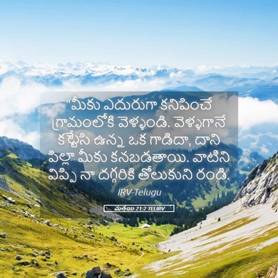 Picture 05 - మత్తయి 21:2 TELIRV - “మీకు ఎదురుగా - Bible Verse Picture