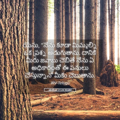 Picture 05 - మత్తయి 21:24 TELIRV - యేసు, “నేను కూడా - Bible Verse Picture
