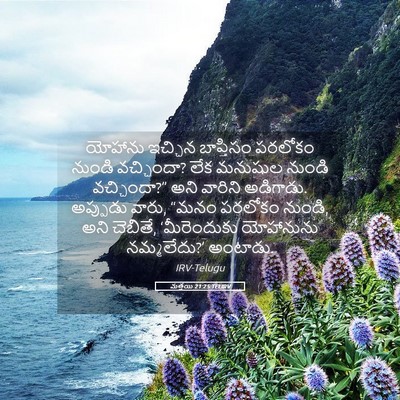 Picture 05 - మత్తయి 21:25 TELIRV - యోహాను ఇచ్చిన - Bible Verse Picture