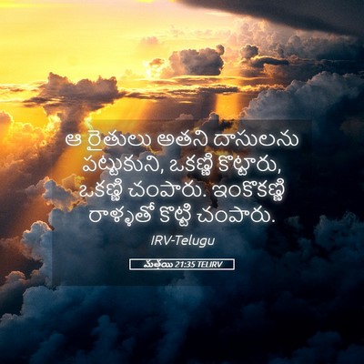 Picture 05 - మత్తయి 21:35 TELIRV - ఆ రైతులు అతని - Bible Verse Picture
