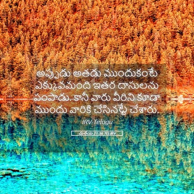 Picture 05 - మత్తయి 21:36 TELIRV - అప్పుడు అతడు - Bible Verse Picture
