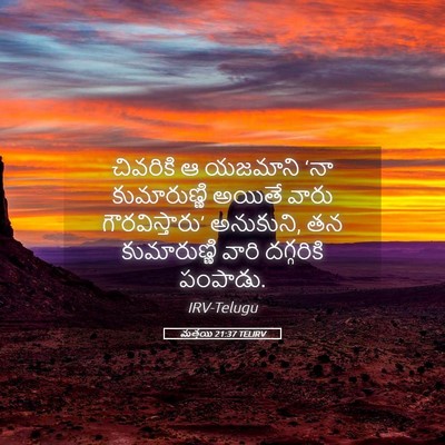 Picture 05 - మత్తయి 21:37 TELIRV - చివరికి ఆ యజమాని - Bible Verse Picture