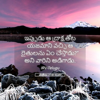 Picture 05 - మత్తయి 21:40 TELIRV - ఇప్పుడు ఆ - Bible Verse Picture