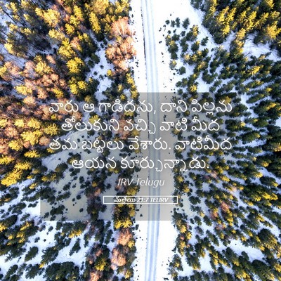 Picture 05 - మత్తయి 21:7 TELIRV - వారు ఆ గాడిదను, - Bible Verse Picture
